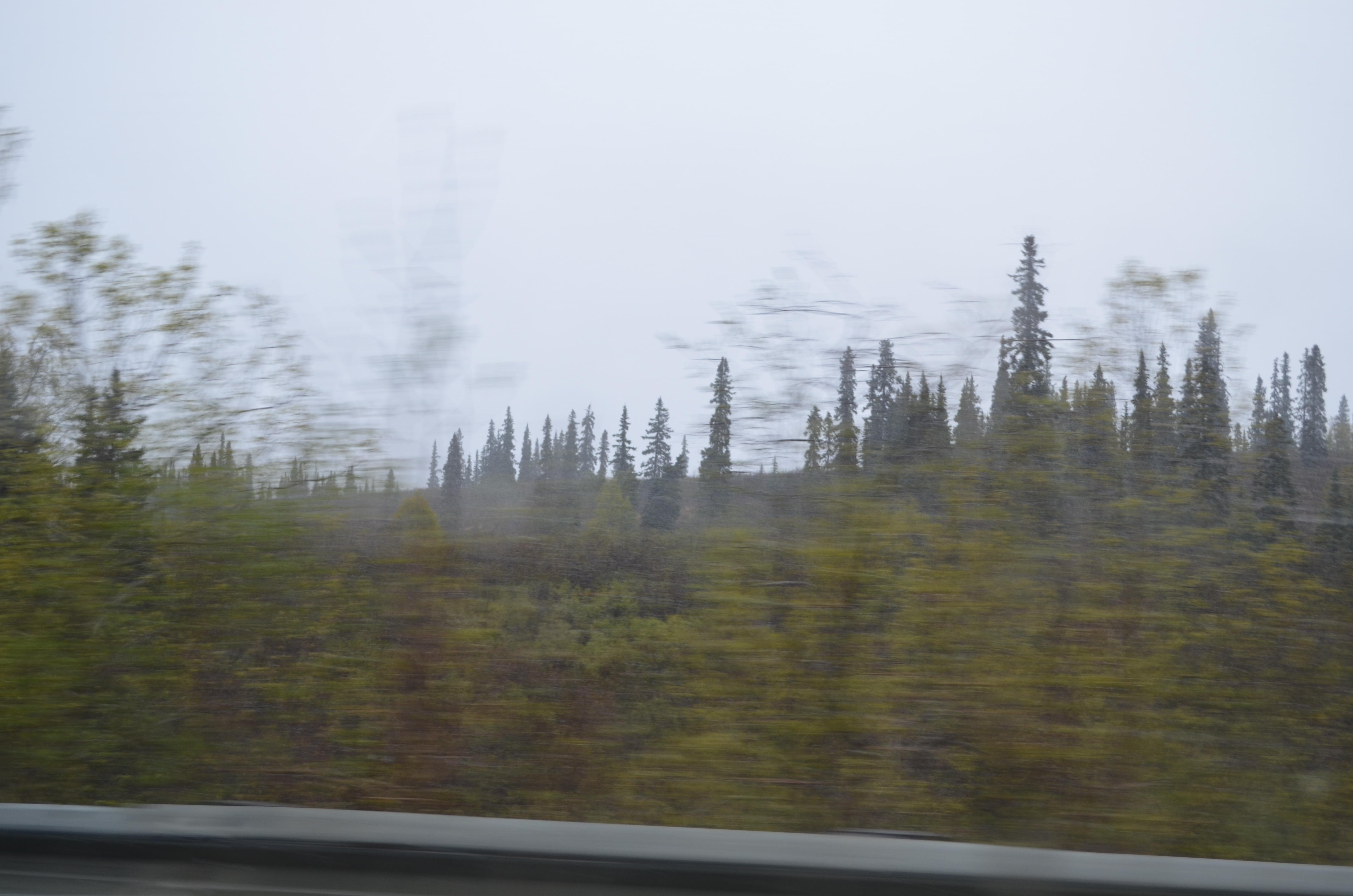 ./2017/08 - Alaska Cruise/03 - Denali/DSC_0083.JPG